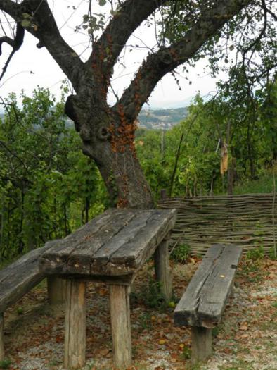 rodna-kuca-m.g.jpg