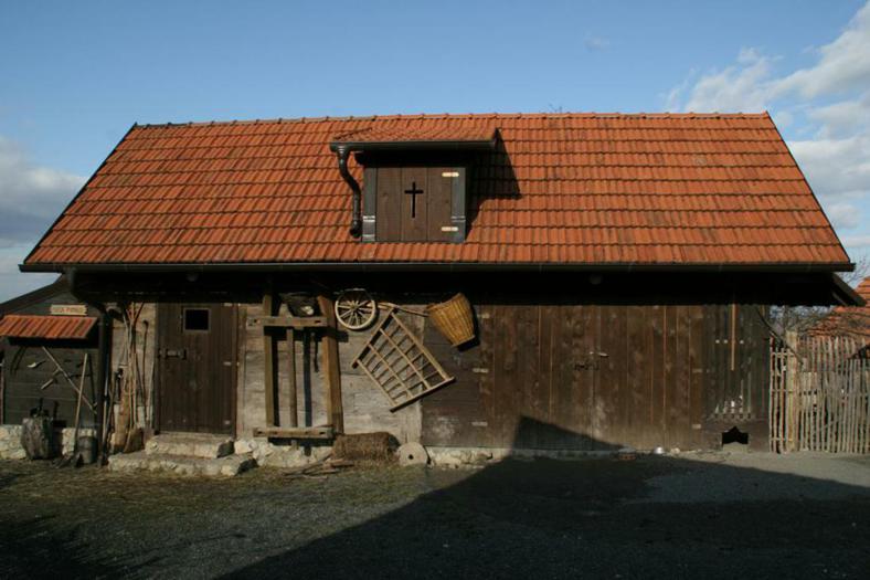 tz-014.jpg