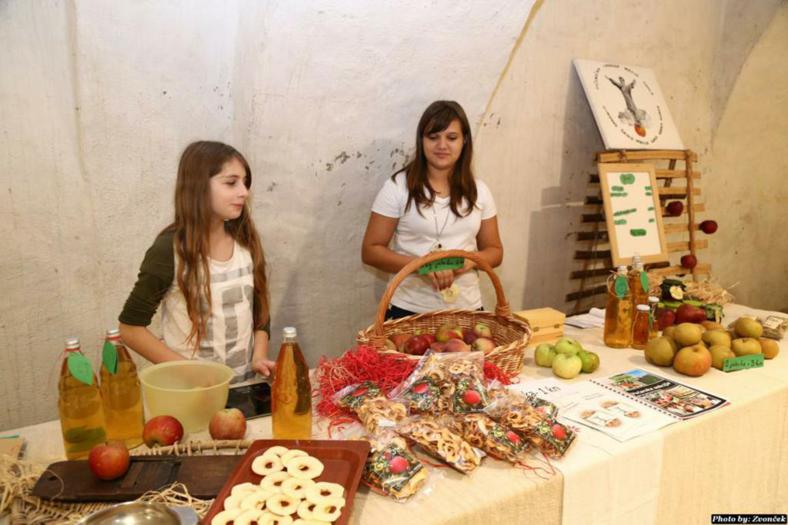 11.10.-2014.-dani-starih-sorata-voca-i-preradevina---dvorac-golubovec-257.jpg
