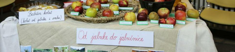 12.10.-2013.-dani-starih-sorata-voca-i-preradevina---terme-jezercica-028.jpg