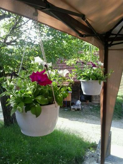 2015-05-18-17.17.16.jpg