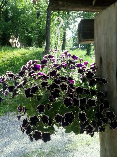 2015-05-18-17.18.40.jpg