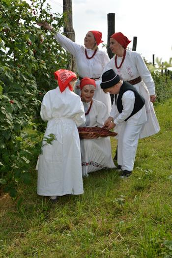 st5_0580---copy1.jpg
