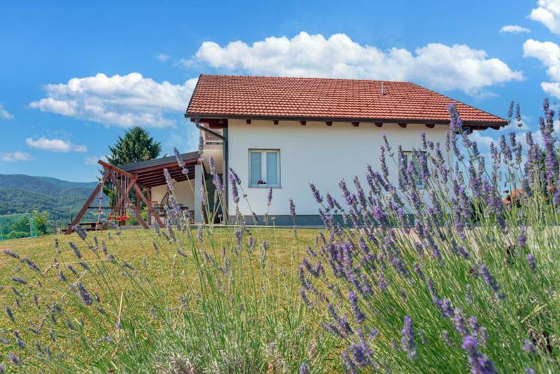 apartman-ivanic-(29.06.2021.)-007.jpg