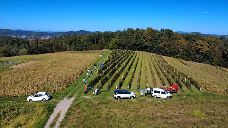 rsz_img-20251030-wa0007