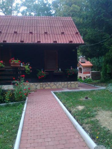 fotografija0195-(2).jpg